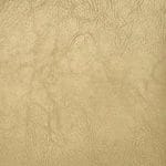 Chamois SVI-002