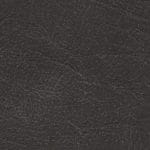 Charcoal 535886