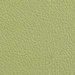 Chervil 514804