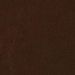Chestnut 518756