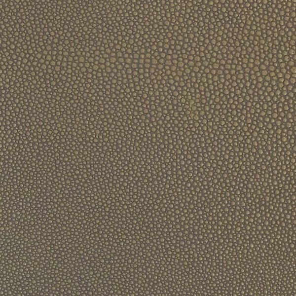 shagreen Chia Ssh