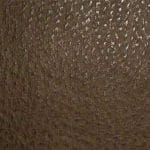 Chocolate Chip-TPH-004