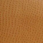 Chutney-TPH-005