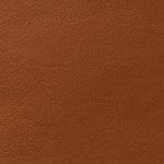 Cinnamon COHCY-9246