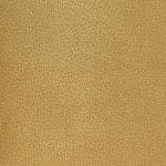 Citrine WCL-006