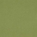 Citronella-TPE-011