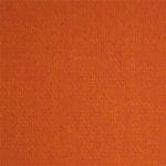 Clementine-TVI-007