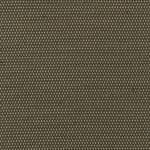 Clove NONP-03