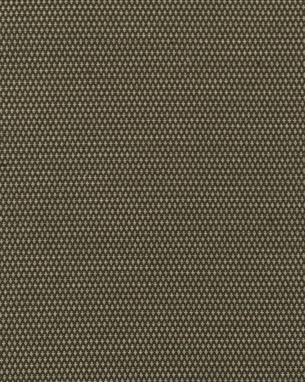 oneida Clove Nonp