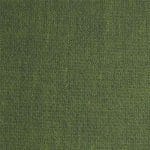 Clover-TVI-008