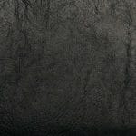 Coal SVI-003