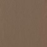 Cocoa 539102