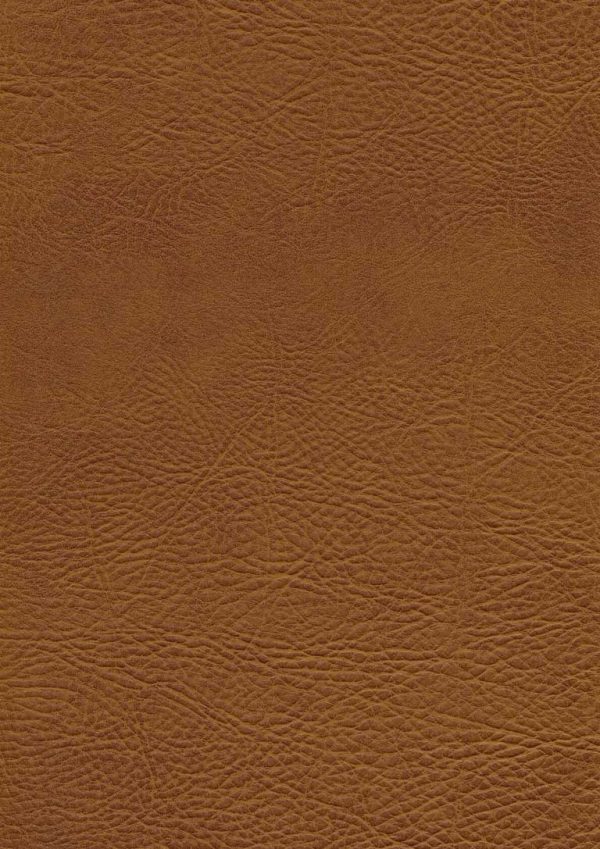 pavinto Cognac