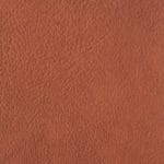 Cognac PHE-001