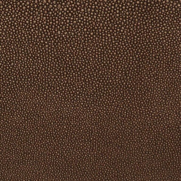 shagreen Copperpot Ssh