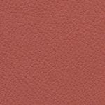 Coral Reef 514979