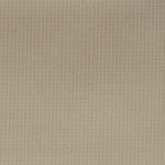 Cottonseed WHX-009