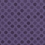 Crocus 514779