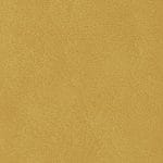 Crocus 517709