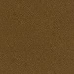 Cumin WST-010