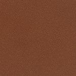 Curry WST-011