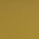 Daffodil-SCL-209