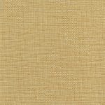 Dandelion 539574