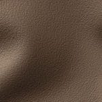 Bark (DAV-8548)
