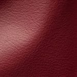 Berry (DAV-9201)