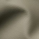 Celadon (DAV-8446)