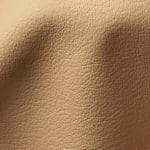 Chamois (DAV-8774)