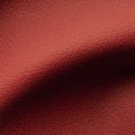 Tomato (DAV-8787)