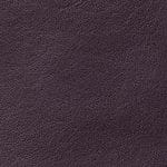 Deep Purple COHCY-9254