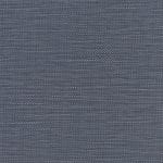 Denim 539568