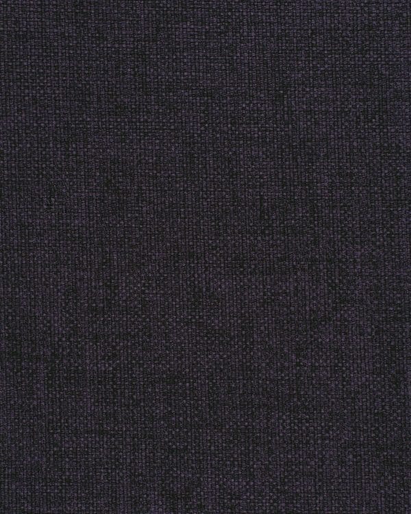 champlain Dewberry Nchp