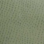 Drizzle-TPH-006