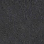 Earl Grey CAFECY-9805