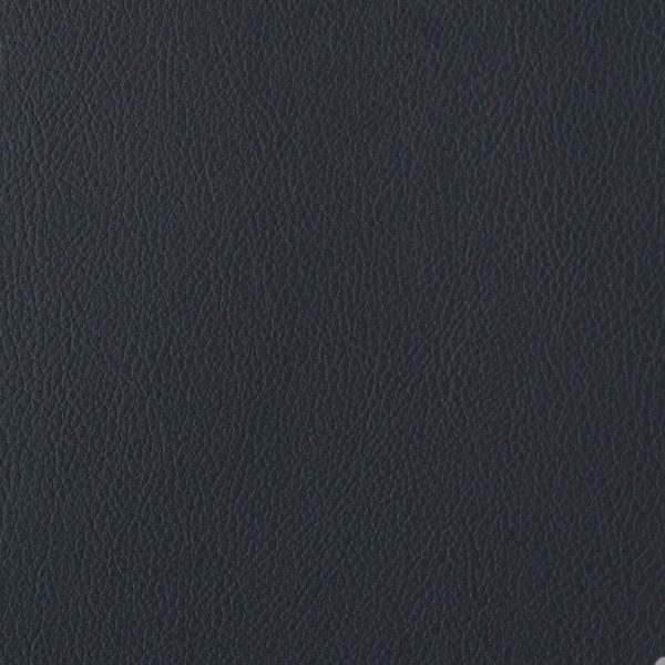 foundation Ebony Pfo