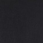 Ebony-WSL-009