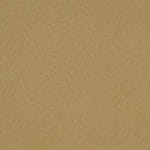 Eggnog-TPE-013