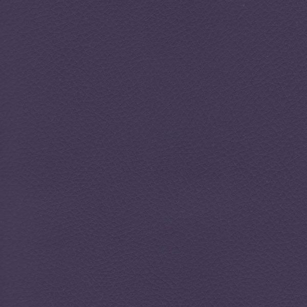 premier Eggplant