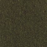 Envy NCNP-06