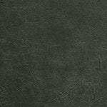 Evergreen STR-006