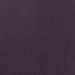 FUDGE SCL-018