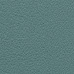 Fern 514975