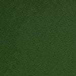 Fern-SCL-210