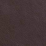 Fig CAFECY-9907