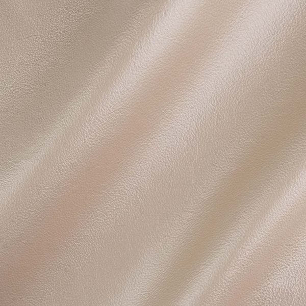 chesapeake leather Fizz