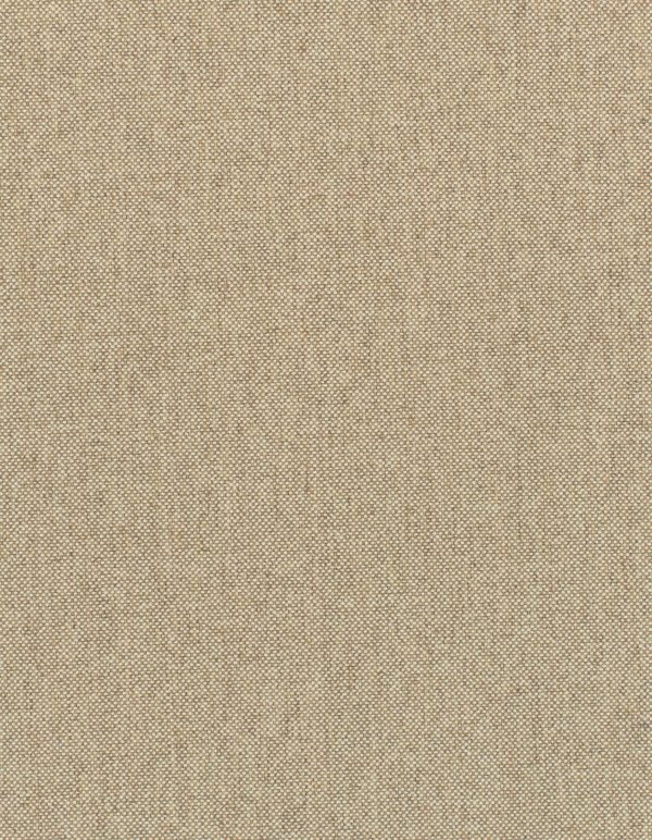 constance Flax Ncnp