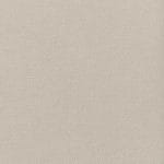 Fog SNO-011